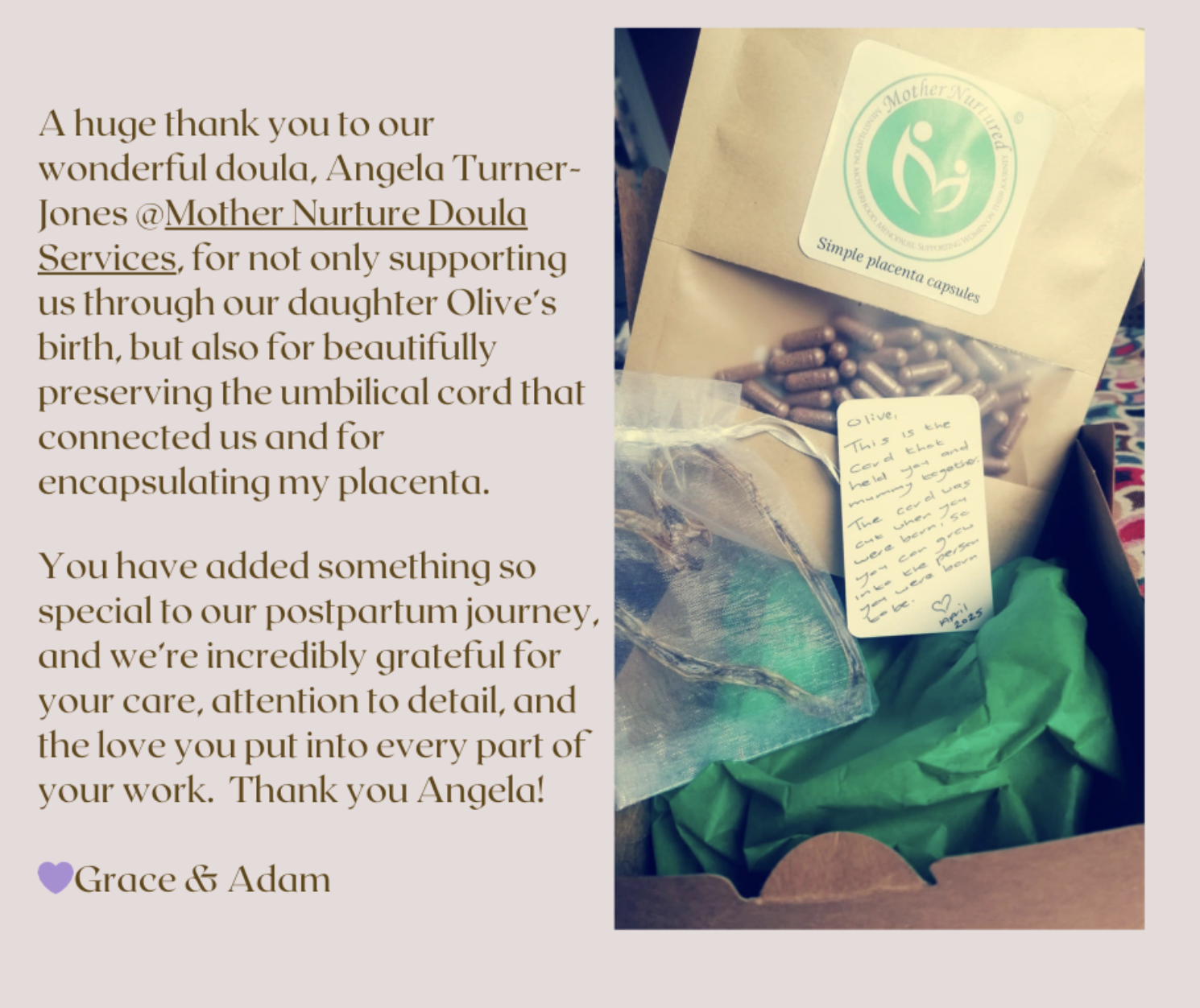 Screenshot 2025-05-15 at 13.09.14 Placenta Encapsulation with Mother Nurture Doula Services